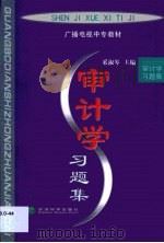 审计学习题集（1999 PDF版）