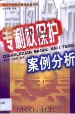 专利权保护案例分析（1999 PDF版）