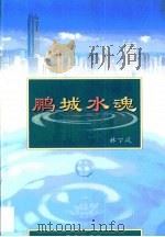 鹏城水魂（1999 PDF版）