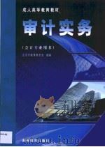 审计实务（1999 PDF版）