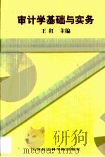 审计学基础与实务（1999 PDF版）