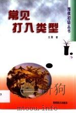 常见打入类型（1999 PDF版）
