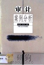 审计案例分析（1999 PDF版）