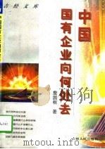 中国国有企业向何处去（1997 PDF版）