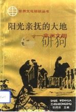 阳光亲抚的大地  非洲文明（1992 PDF版）