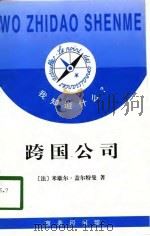 跨国公司（1998 PDF版）
