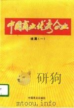 中国商业优秀企业  续篇  1（1996 PDF版）