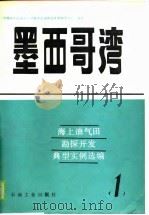 海上油气田勘探开发典型实例选编  1  墨西歌湾（1988 PDF版）