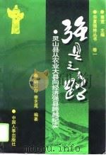 强县之路  灵山从农业大县向经济强县跨越纪实（1997 PDF版）