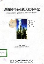 湖南国有企业抓大放小研究（1998 PDF版）