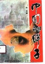 中国的眸子 1989 PDF电子版封面 753020162X 胡平著