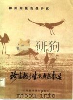 鄱阳湖候鸟保护区珍禽越冬生态考察报告（1987 PDF版）