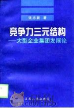 竞争力三元结构 大型企业集团发展论 1999 PDF电子版封面 7214023865 钱志新著