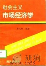 社会主义市场经济学（1995 PDF版）