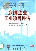 乡镇企业工业项目评估（1996 PDF版）
