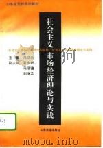 社会主义市场经济理论与实践（1996 PDF版）