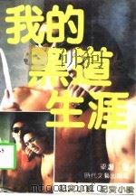 我的黑道生涯（1991 PDF版）