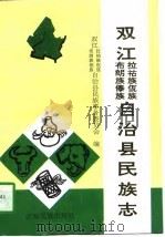 双江拉祜族佤族布朗族傣族自治县民族志（1995 PDF版）