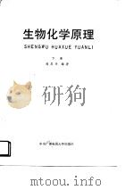 生物化学原理  下（1991 PDF版）