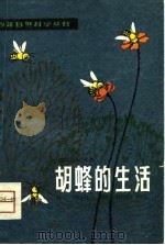 胡蜂的生活 1981 PDF电子版封面 (法国)法布尔