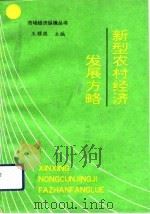 新型农村经济发展方略（1993 PDF版）
