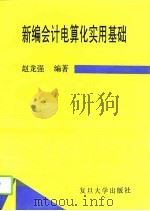 新编会计电算化实用基础（1994 PDF版）