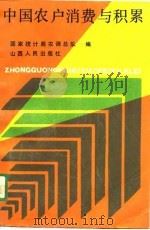 中国农户消费与积累（1989 PDF版）