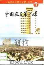 中国农民第一城 1994 PDF电子版封面 7800923193 王汝亮主编;中共浙江省委党史研究室,当代浙江研究所编著