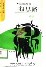 相思路 1988 PDF电子版封面 7226003163 林染著