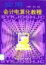 实用会计电算化教程（1995 PDF版）