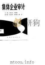 集体企业审计 1989 PDF电子版封面 7810184067 刘花果,杜瑞莲主编