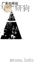 广美的崛起（1989 PDF版）