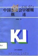 中国企业会计准则概述（1993 PDF版）