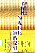 多样性的现代化道路探索  云南多民族地区小康村镇研究（1999 PDF版）