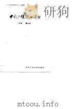 中国乡镇企业管理（1989 PDF版）