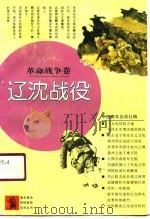 辽沈战役（1991 PDF版）