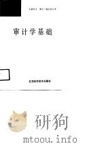 审计学基础 1991 PDF电子版封面 7534511631 杨治朝主编
