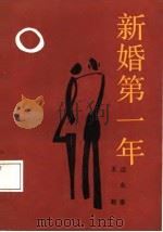 新婚第一年 1988 PDF电子版封面 7538503951 沈永泰,王湘著