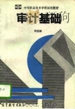 审计基础 1994 PDF电子版封面 7040046741 刘世林主编