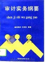 审计实务纲要（1992 PDF版）
