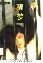 醒梦 1990 PDF电子版封面 7800494829 张斌著