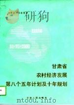 甘肃省农村经济发展第八个五年计划及十年规划（1992 PDF版）