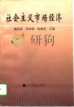 社会主义市场经济（1994 PDF版）