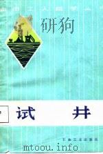 试井（1988 PDF版）