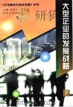 大型企业的发展战略  下（1998 PDF版）