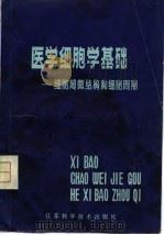 医学细胞学基础  细胞超微结构和细胞周期（1980 PDF版）