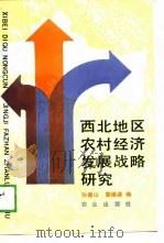 西北地区农村经济发展战略研究（1989 PDF版）