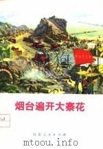烟台遍开大寨花（1976 PDF版）