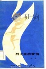烈火里的爱情（1986 PDF版）