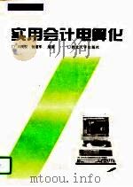 实用会计电算化（1995 PDF版）